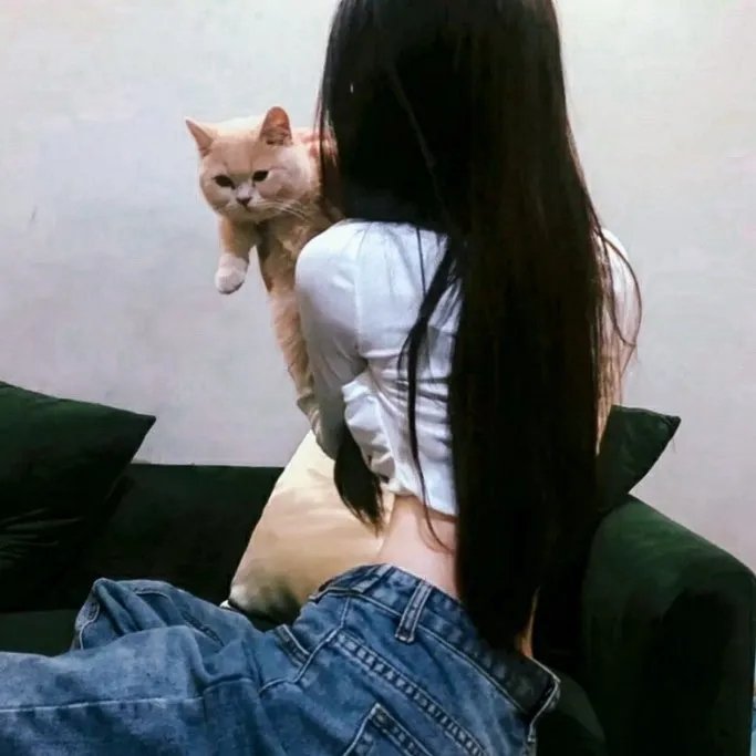 萌犬奇缘